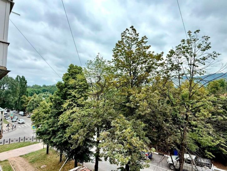 1-комн квартира Дзержинского пр-кт, 43