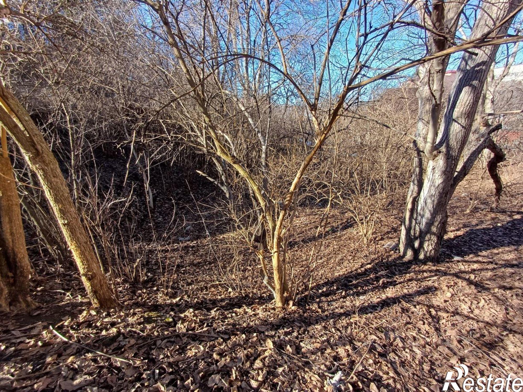 Купить землю, земельный участок за 8 000 000 рублей на улица Кутузова, 109