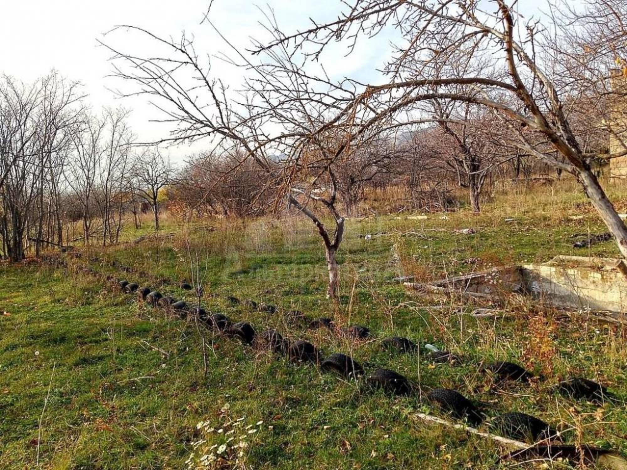 Купить землю, земельный участок за 800 000 рублей на с/т Гвоздика