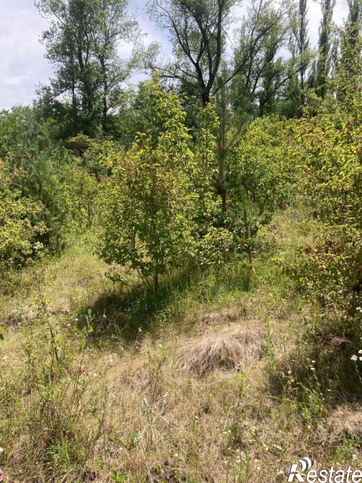 Купить землю, земельный участок за 1 550 000 рублей