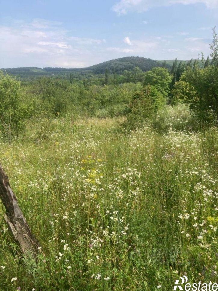 Земельный участок