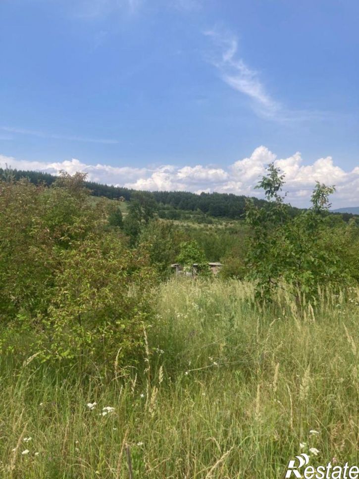 Земельный участок