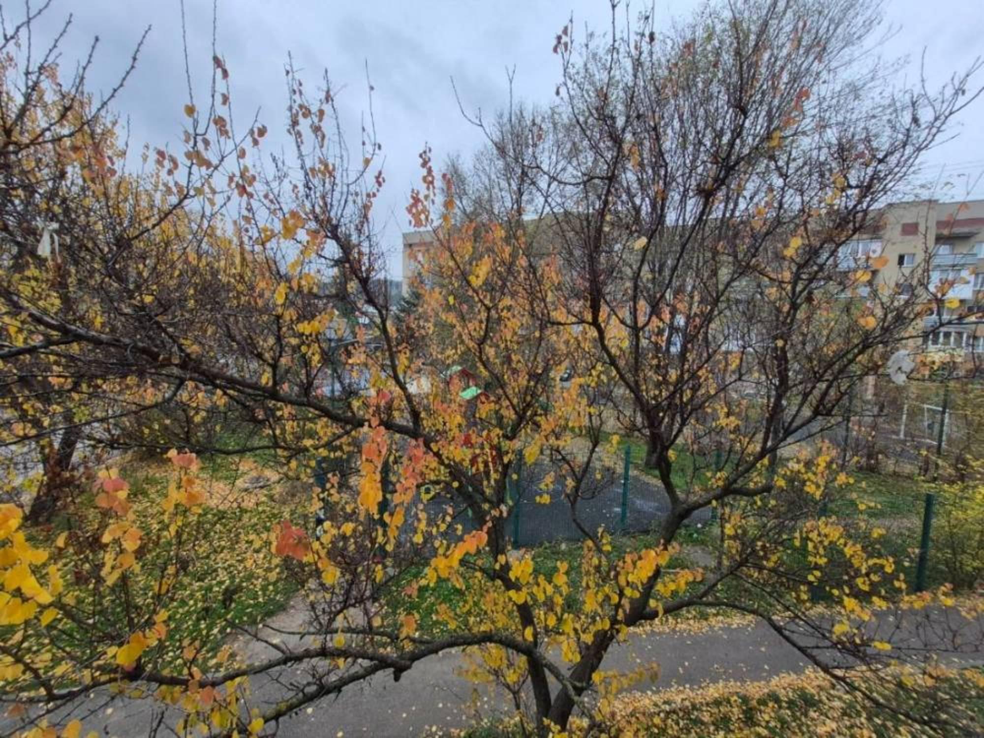 Купить квартиру за 6 850 000 рублей на Целинная ул.