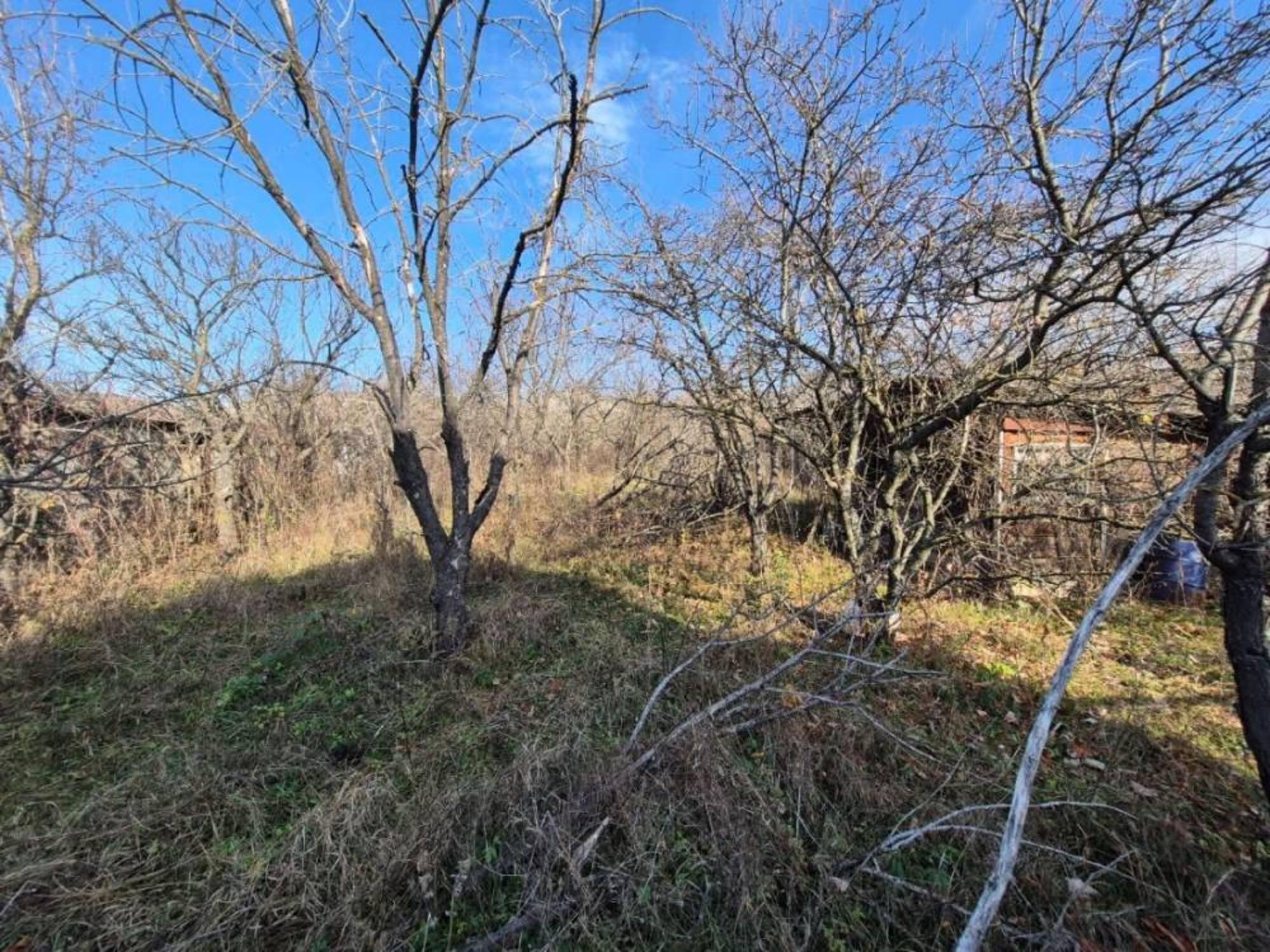 Купить землю, земельный участок за 800 000 рублей на с/т Горное эхо