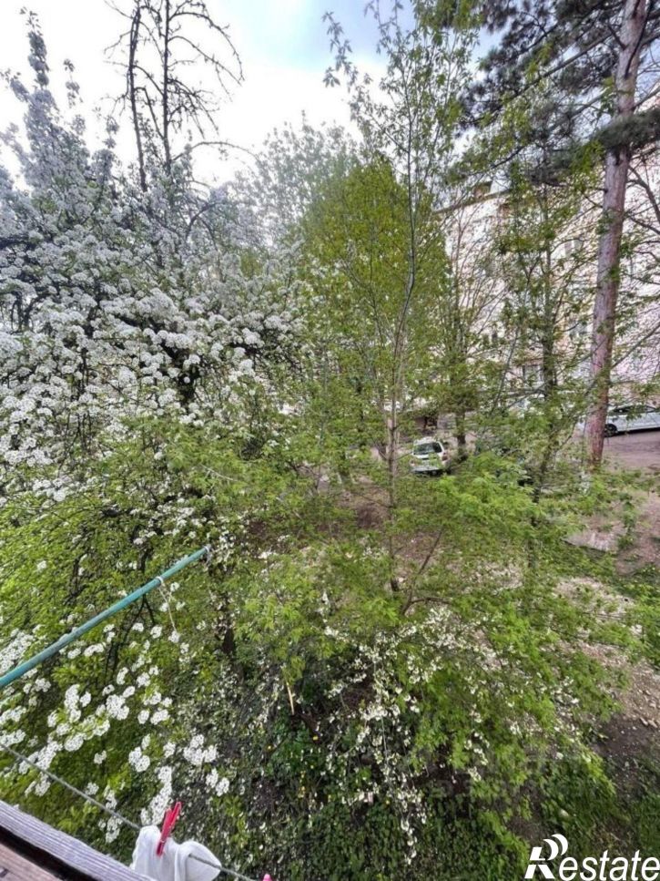1-комн квартира проезд Цандера, 15,  д. 15